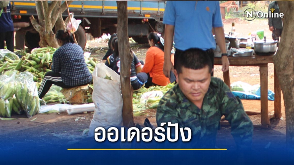ระดมกำลังทหาร ช่วยเกษตรกรเก็บข้าวโพดหวาน ระดมกำลังทหาร ช่วยเกษตรกรเก็บข้าวโพดหวาน