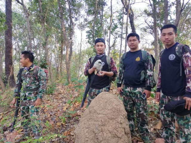 ซึ้งใจเจ้าหน้าที่ลาดตระเวนดับไฟป่าช่วยลูกนกรอดตาย