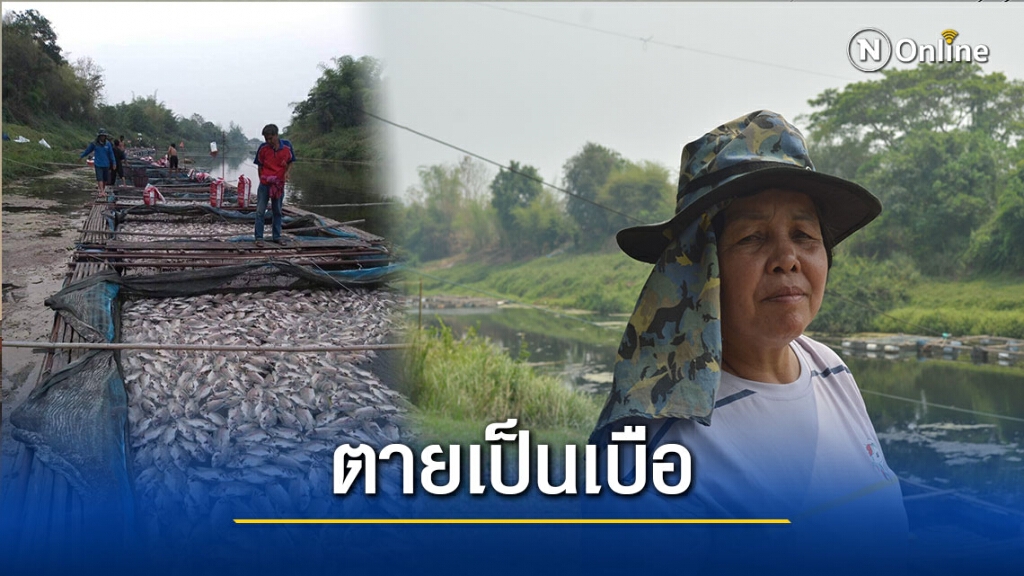 ปลากระชังน็อคน้ำตายกว่า1ตัน คาดอากาศร้อน-รง.ปล่อยน้ำเสีย