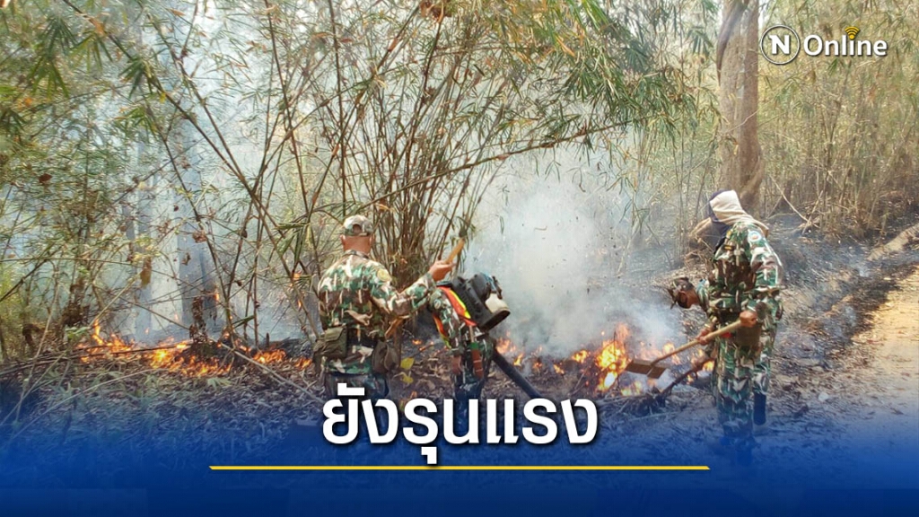 ไฟป่าแม่ฮ่องสอนทวีรุนแรง-ยกเลิก12เที่ยวบิน