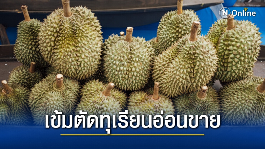 เฉลิมชัย สั่งคุมเข้มป้องกันเกษตรกรตัดทุเรียนอ่อนขาย  ย้ำทุเรียนอ่อนผิดกฎหมาย