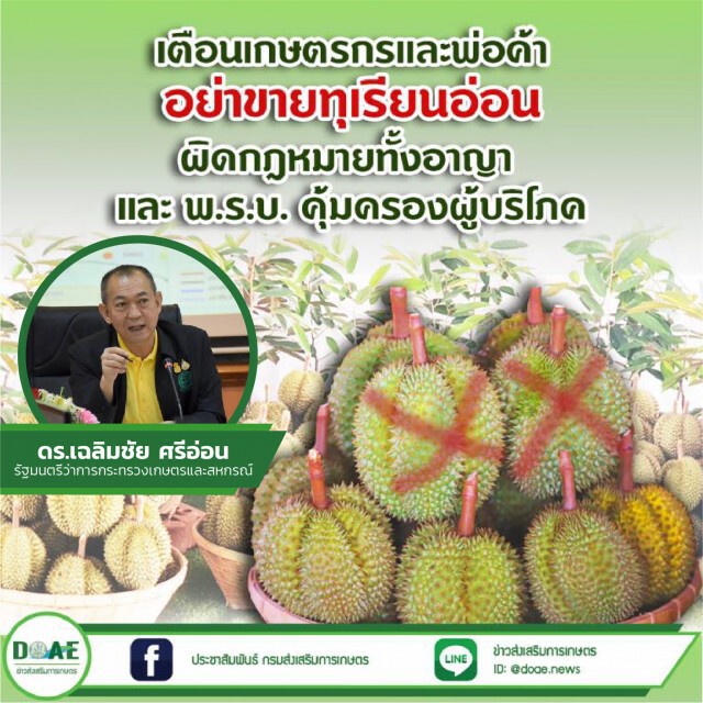 เฉลิมชัย สั่งคุมเข้มป้องกันเกษตรกรตัดทุเรียนอ่อนขาย  ย้ำทุเรียนอ่อนผิดกฎหมาย
