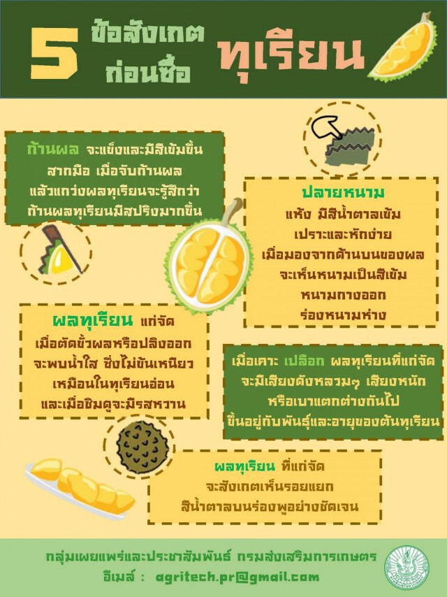เฉลิมชัย สั่งคุมเข้มป้องกันเกษตรกรตัดทุเรียนอ่อนขาย  ย้ำทุเรียนอ่อนผิดกฎหมาย