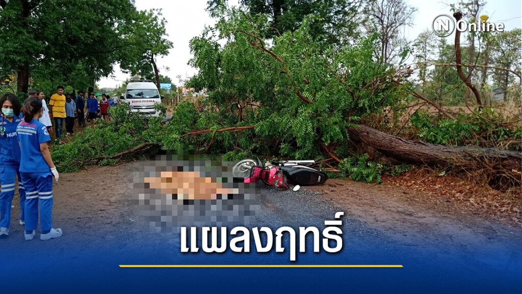 พายุถล่มโคราช เสาไฟฟ้าหักโค่น ต้นไม้ล้มทำคนตาย