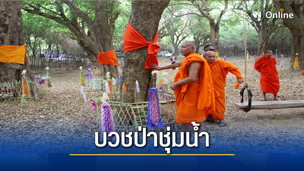 บวชป่า"ส้มแสง"ป่าต้นน้ำแม่น้ำอิง