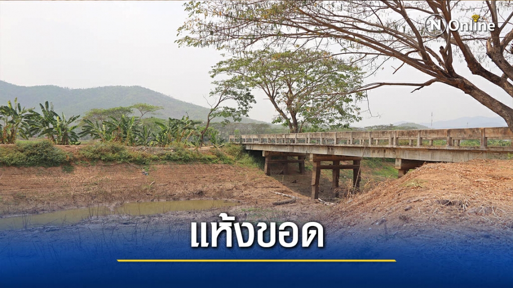 แม่น้ำอิงแห้งขอด-ข้าวนาปรังยืนต้นตาย แม่น้ำอิงแห้งขอด-ข้าวนาปรังยืนต้นตาย