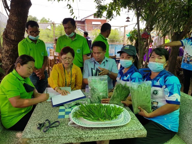 เอ็มโอยูรับซื้อใบกัญชากลุ่มวิสาหกิจชุมชนไปแปรรูปอาหาร