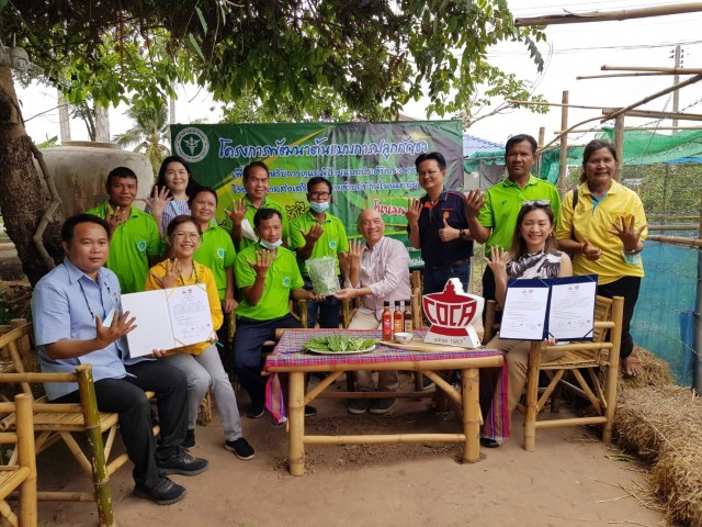 เอ็มโอยูรับซื้อใบกัญชากลุ่มวิสาหกิจชุมชนไปแปรรูปอาหาร