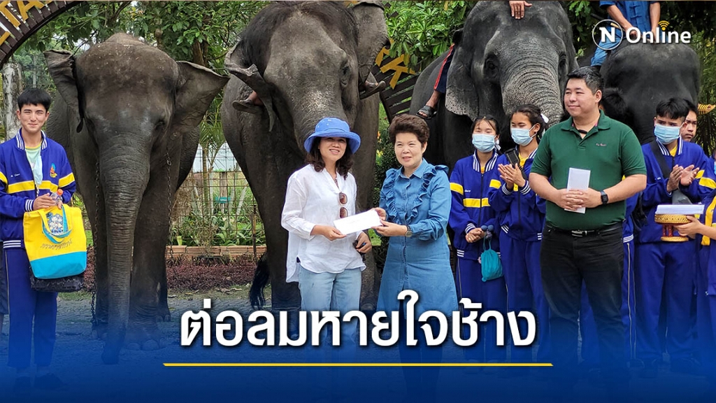 เตรียมทอดผ้าป่าหาทุนอาหารช้าง เตรียมทอดผ้าป่าหาทุนอาหารช้าง