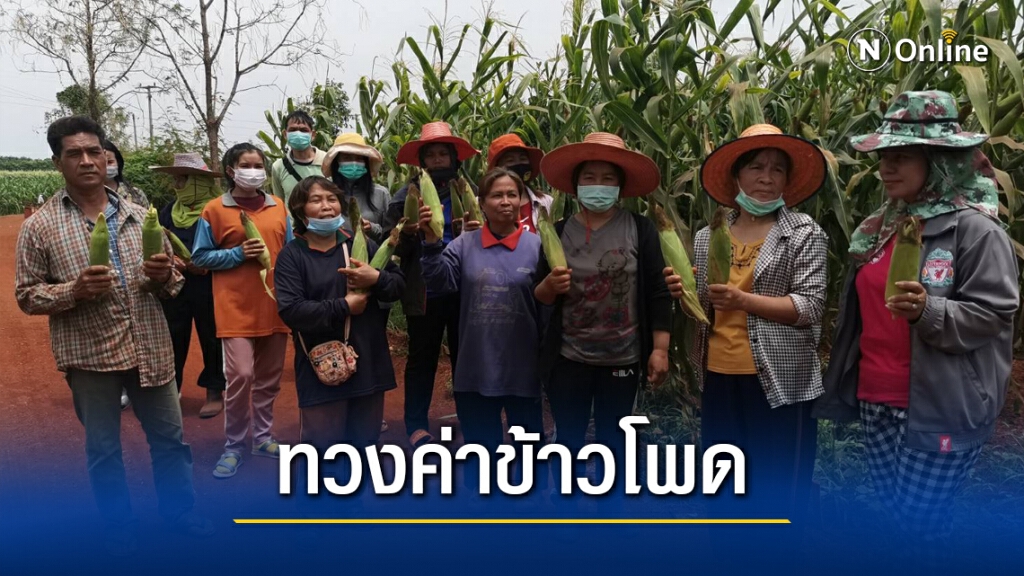 เกษตรกรเดือดร้อนหนักถูกเบี้ยวเงินขายข้าวโพด