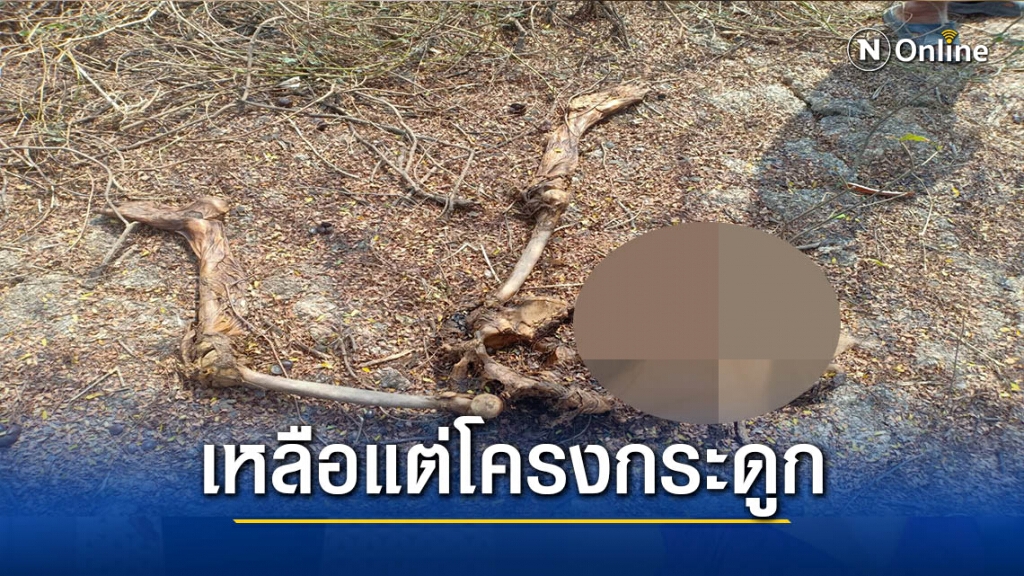 หนุ่มใหญ่หายตัว4เดือน-พบอีกทีเหลือแต่โครงกระดูก