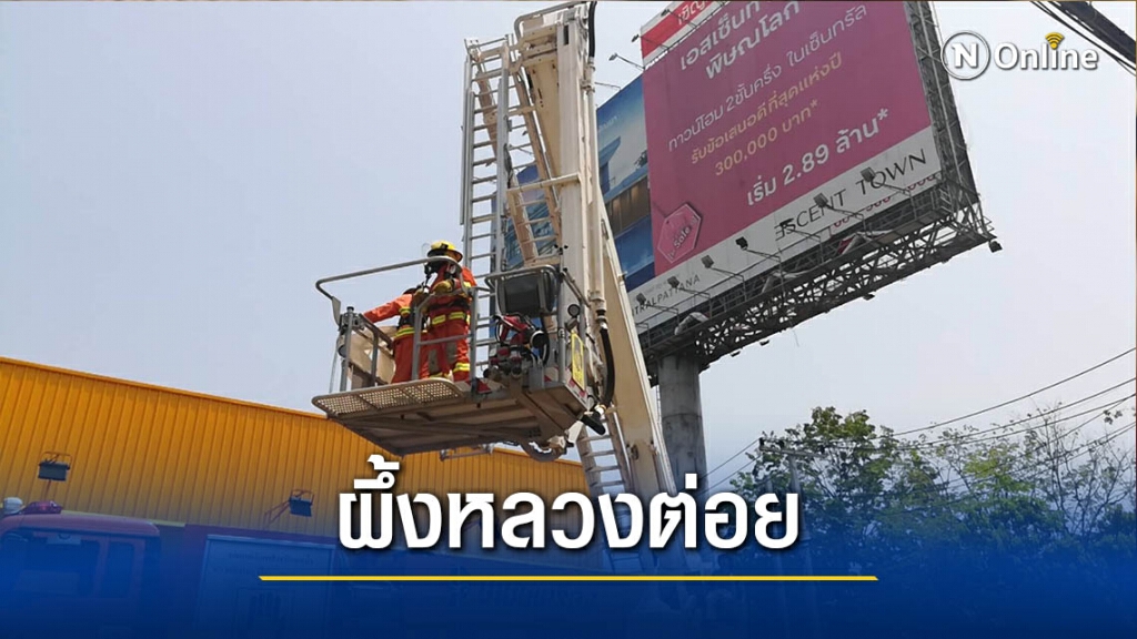 "ผึ้งหลวง"รุมต่อยคนงานขึ้นป้ายโฆษณาเจ็บระนาว