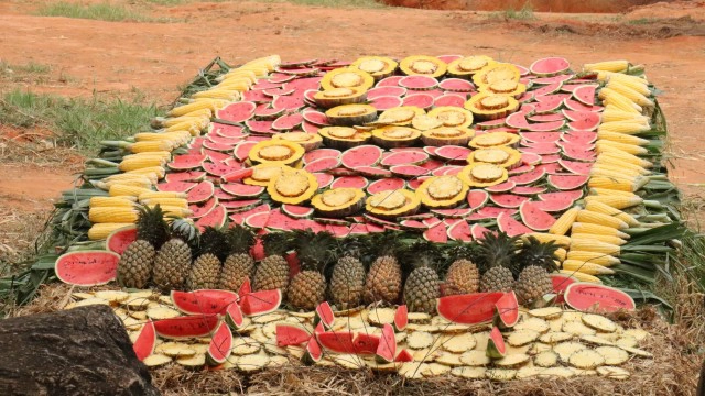 จัดเค้กผลไม้ ฉลองวันเกิด "น้องสีมา"ลูกช้างแอฟริกา