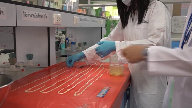 ตลึง!พบพยาธิตัวตืดยาว18 เมตร ผู้ป่วยชอบกินลาบดิบ