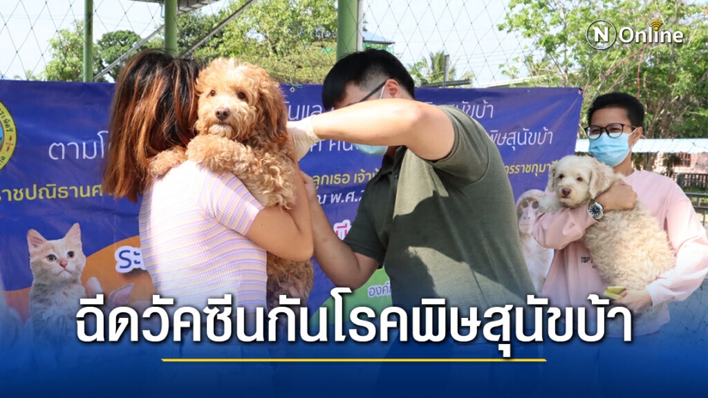 สถ. ร่วมมือ อปท. ทั่วประเทศ ฉีดวัคซีนป้องกันโรคพิษสุนัขบ้า ระหว่างวันที่ 1 มีนาคม – 31 กรกฎาคม 2564 สถ. ร่วมมือ อปท. ทั่วประเทศ ฉีดวัคซีนป้องกันโรคพิษสุนัขบ้า ระหว่างวันที่ 1 มีนาคม – 31 กรกฎาคม 2564