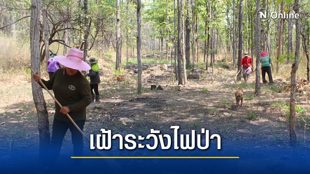 อุทยานแห่งชาติทับลานเข้ม เฝ้าระวังไฟป่า