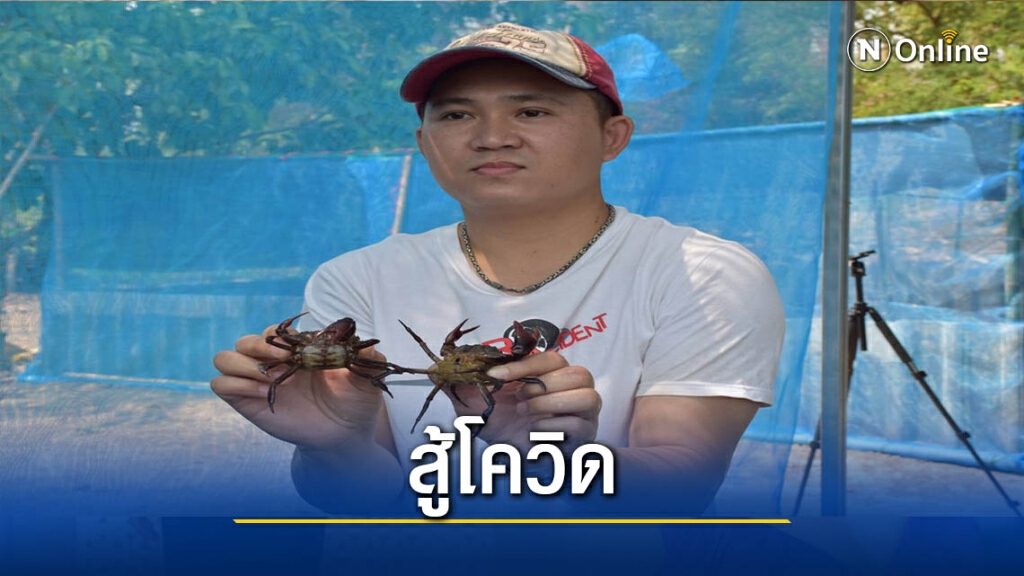 หนุ่มการตลาดสู้โควิด-เลี้ยงปูนาในกระบอกไม้ไผ่