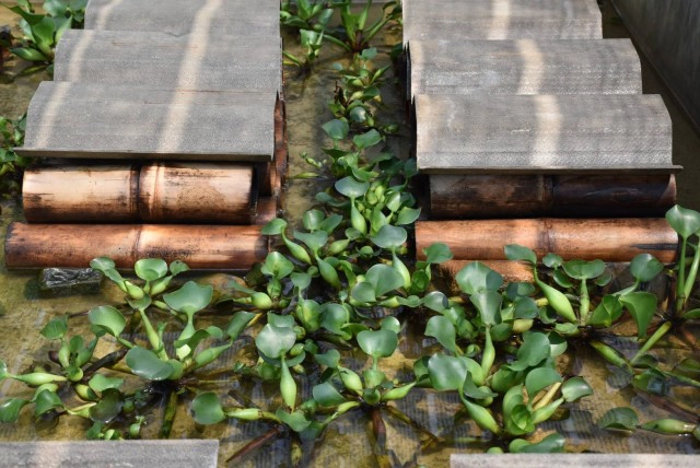 หนุ่มการตลาดสู้โควิด-เลี้ยงปูนาในกระบอกไม้ไผ่