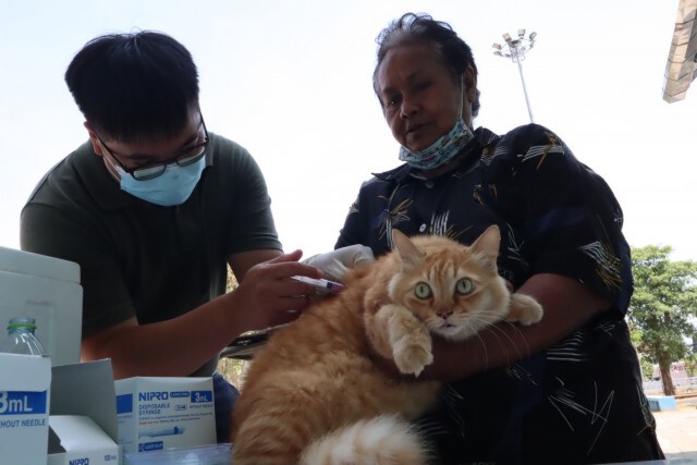 สถ. ร่วมมือ อปท. ทั่วประเทศ ฉีดวัคซีนป้องกันโรคพิษสุนัขบ้า ระหว่างวันที่ 1 มีนาคม – 31 กรกฎาคม 2564