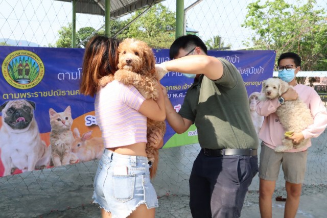 สถ. ร่วมมือ อปท. ทั่วประเทศ ฉีดวัคซีนป้องกันโรคพิษสุนัขบ้า ระหว่างวันที่ 1 มีนาคม – 31 กรกฎาคม 2564