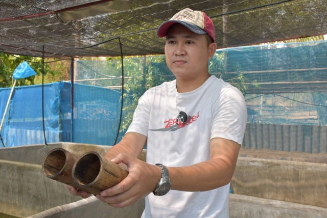 หนุ่มการตลาดสู้โควิด-เลี้ยงปูนาในกระบอกไม้ไผ่