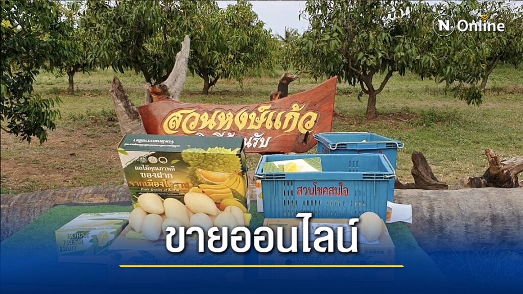 พิษโควิดกระทบส่งออกมะม่วง หันมาโปรโมทขายออนไลน์แทน