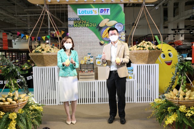 โลตัสจับมือพาณิชย์รับซื้อมะม่วง 3.2 พันตัน ช่วยเกษตรกร