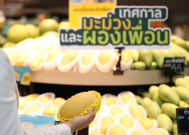 โลตัสจับมือพาณิชย์รับซื้อมะม่วง 3.2 พันตัน ช่วยเกษตรกร