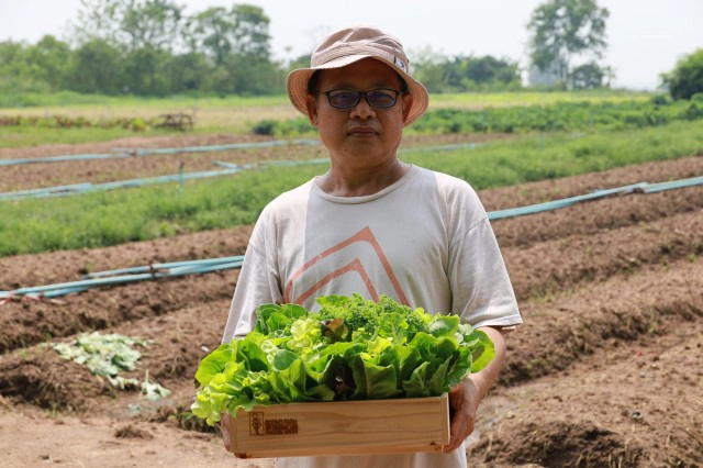 อดีตวิศวกรไฟฟ้าเจอพิษโควิด ปลูกผักสลัดขาย รายได้งาม