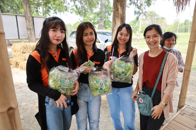 อดีตวิศวกรไฟฟ้าเจอพิษโควิด ปลูกผักสลัดขาย รายได้งาม