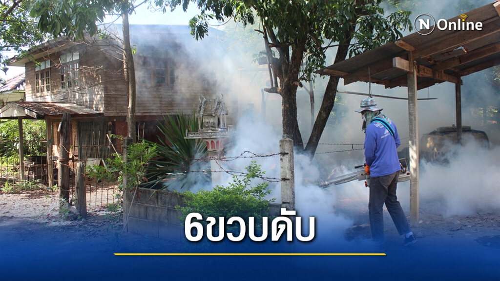 โรคไข้เลือดออกระบาด เด็ก6ขวบเสียชีวิต