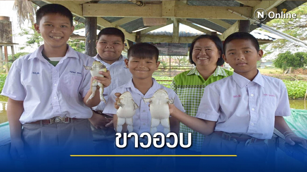 รร.บ้านท่าเดื่อ"ทำหลามกบ"ขาย-หาทุนอาหารกลางวัน