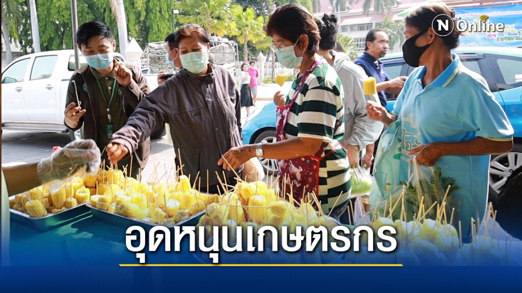 เปิดงานข้าวโพดหวานครั้งที่2 ช่วยอุดหนุนเกษตรกร เปิดงานข้าวโพดหวานครั้งที่2 ช่วยอุดหนุนเกษตรกร