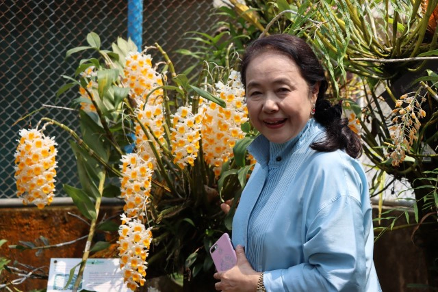 orchid กล้วยไม้