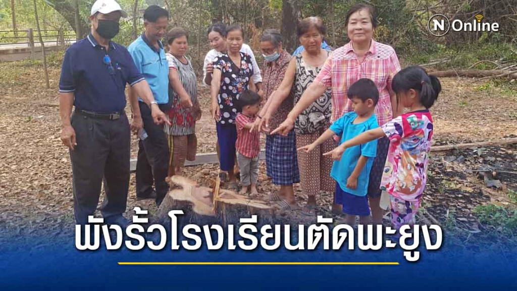 เร่งจับแก๊งมอดไม้พังรั้วร.ร.ลอบตัดต้นพะยูง100ปี