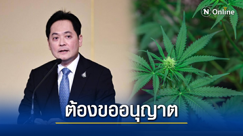 รัฐบาลยืนยัน สนับสนุนการสร้างมูลค่าเพิ่มปลูกกัญชา-กัญชง รองรับเศรษฐกิจ BCG แต่ต้องขออนุญาต รัฐบาลยืนยัน สนับสนุนการสร้างมูลค่าเพิ่มปลูกกัญชา-กัญชง รองรับเศรษฐกิจ BCG แต่ต้องขออนุญาต