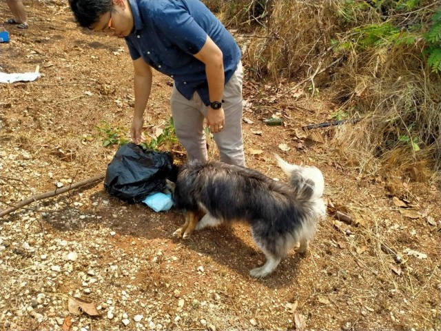 สะเทือนใจ!!น้องหมาเฝ้าศพเพื่อนถูกรถชนกลางถนน