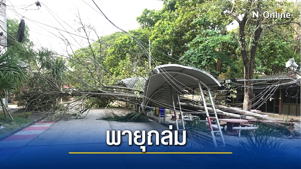 พายุถล่ม ต้นไม้โค่นทับหลังคาทางเดินเท้า-ไฟดับ