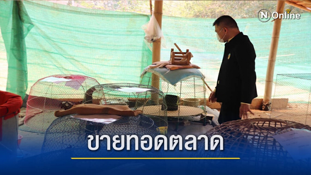 ป.ป.ส.นำไก่ชน 111 ตัวขายทอดตลาด ป.ป.ส.นำไก่ชน 111 ตัวขายทอดตลาด