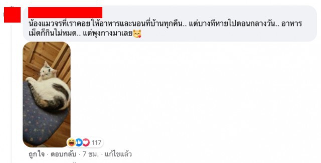 ทาสงง? เพื่อนบ้านประกาศขายบ้านในเว็บ พบแมวตัวเองติดอยู่ในภาพนอนอยู่บนเตียง