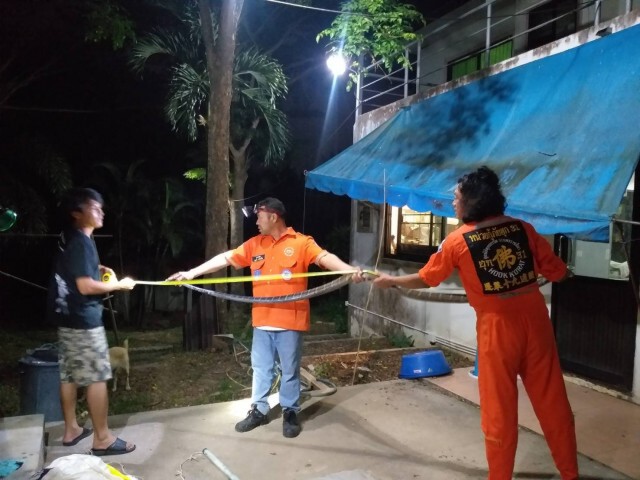 กู้ภัยจับจงอางยาวเกือบ 4 เมตรบุกซุกบ้าน