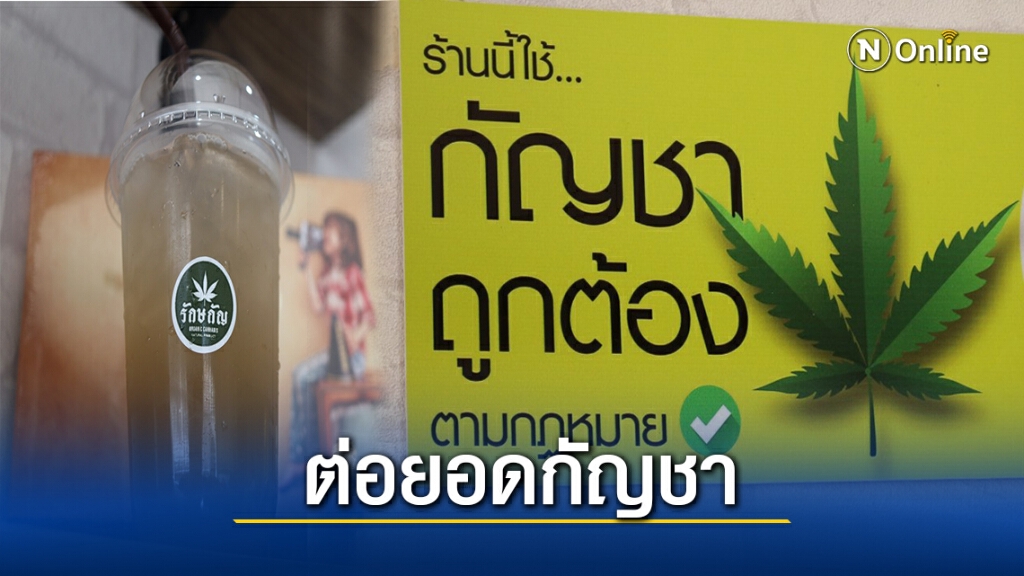 เมนูคลายร้อน"น้ำตาลสดกัญชา"