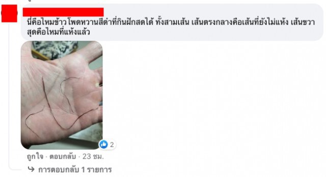 ตะลึง!! ลูกค้าสั่งบะหมี่ป๊อกป๊อก แต่ได้ของแถมติดมาเป็นพวง