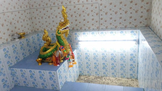 แห่ชมรอยพญานาคโผล่ใต้พระธาตุศรีมหาโพธิ์