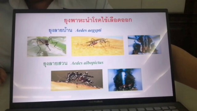 เตือนภัยโรคฤดูร้อนเฝ้าระวังไข้เลือดออก โรคฮีทสโตรก โรคหูดับ