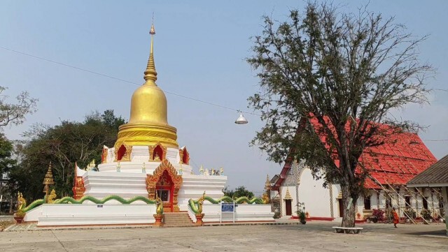 แห่ชมรอยพญานาคโผล่ใต้พระธาตุศรีมหาโพธิ์