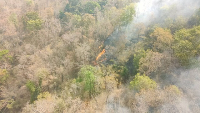 แพทย์ชี้ไฟป่าสะเมิงเร่งกลุ่มเสี่ยงป่วยเร็วขึ้น 8 เท่า