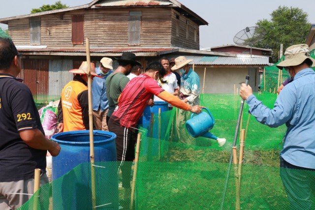 จัดอบรมปลูกกัญชาอินทรีย์ขยายองค์ความรู้สู่เกษตรกร