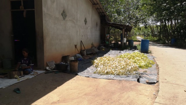 ยอดส่งออก "ติหมา" ไปจีนพุ่ง