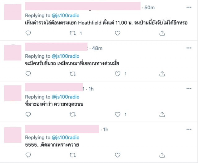 มีใครรับน้องขึ้นรถมั้ย? "ควาย" หลุดบนมอเตอร์เวย์ ทำรถติดหนึบ